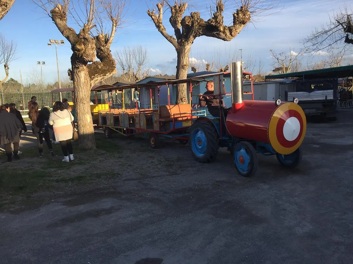 Campsite Mobilehomes Lido Di Dante